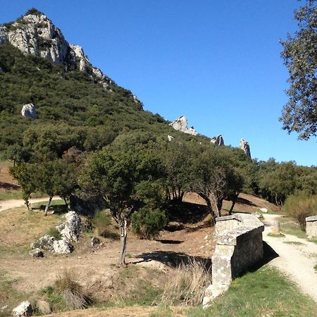 Les Lavandins-Gite Magali Saint-Rémy-de-Provence エクステリア 写真