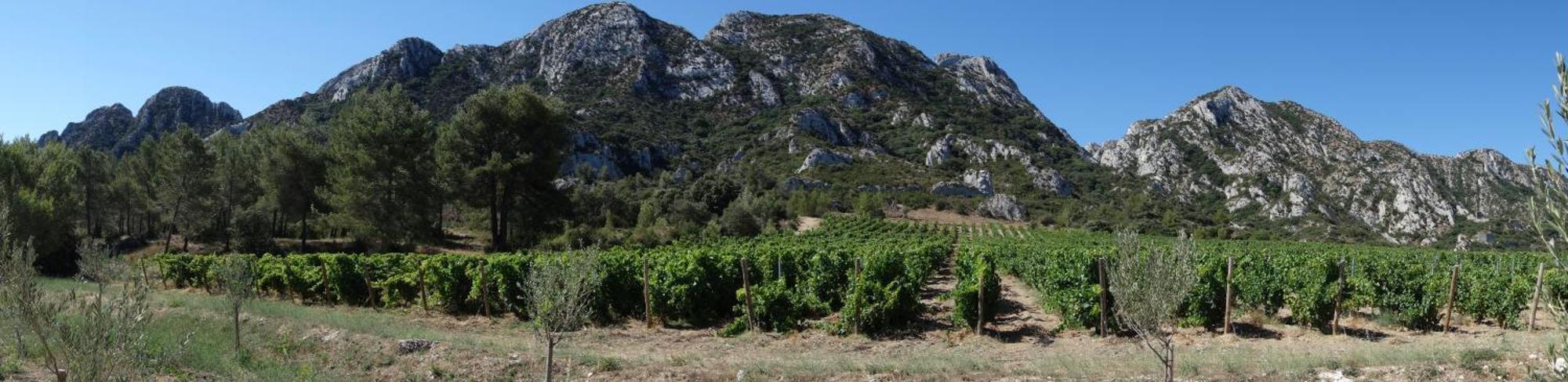 Les Lavandins-Gite Magali Saint-Rémy-de-Provence エクステリア 写真