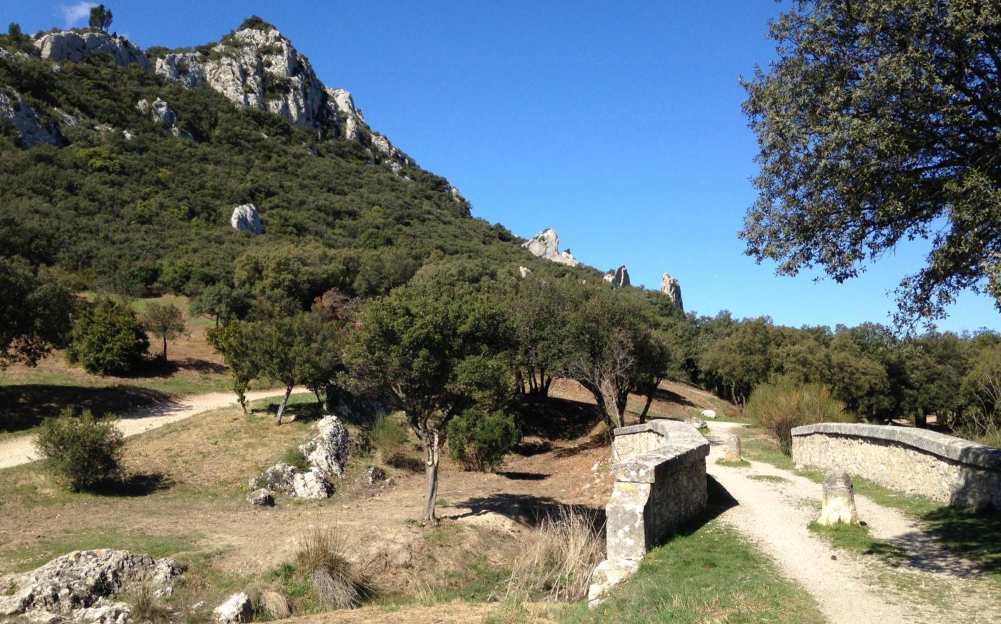 Les Lavandins-Gite Magali Saint-Rémy-de-Provence エクステリア 写真