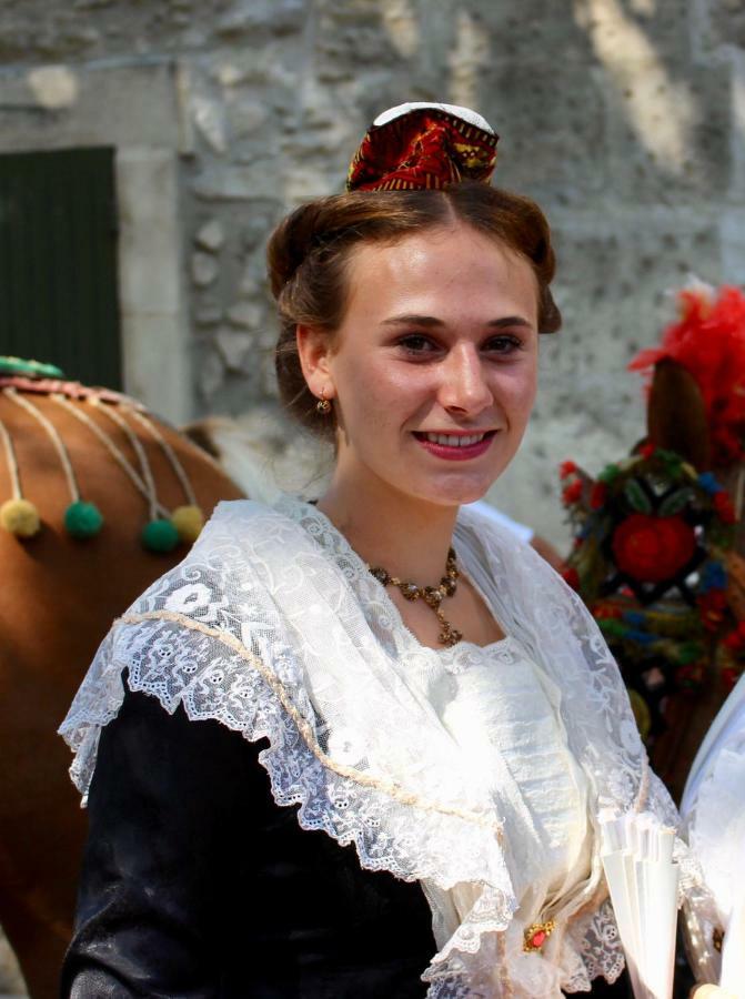 Les Lavandins-Gite Magali Saint-Rémy-de-Provence エクステリア 写真
