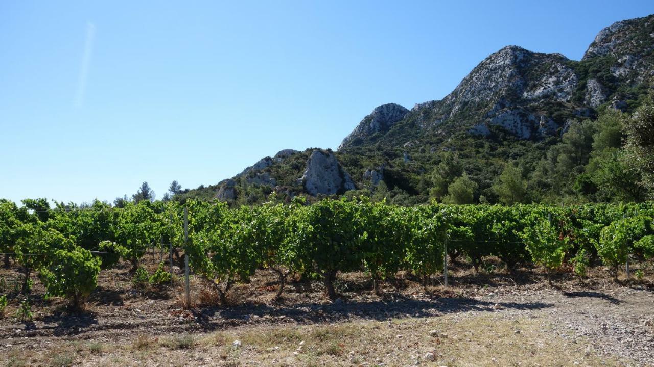 Les Lavandins-Gite Magali Saint-Rémy-de-Provence エクステリア 写真