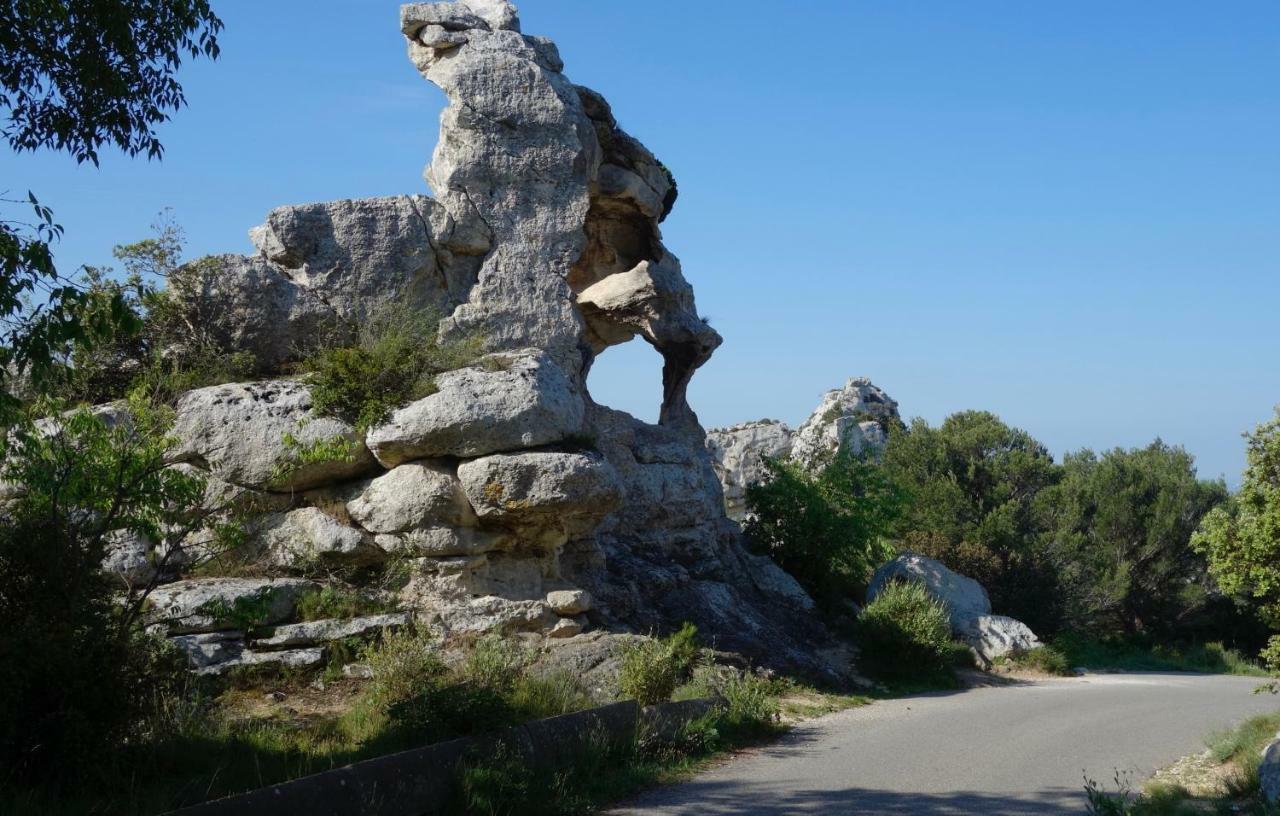 Les Lavandins-Gite Magali Saint-Rémy-de-Provence エクステリア 写真