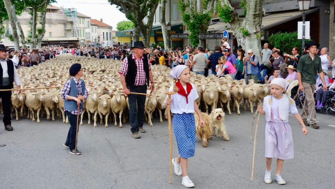Les Lavandins-Gite Magali Saint-Rémy-de-Provence エクステリア 写真