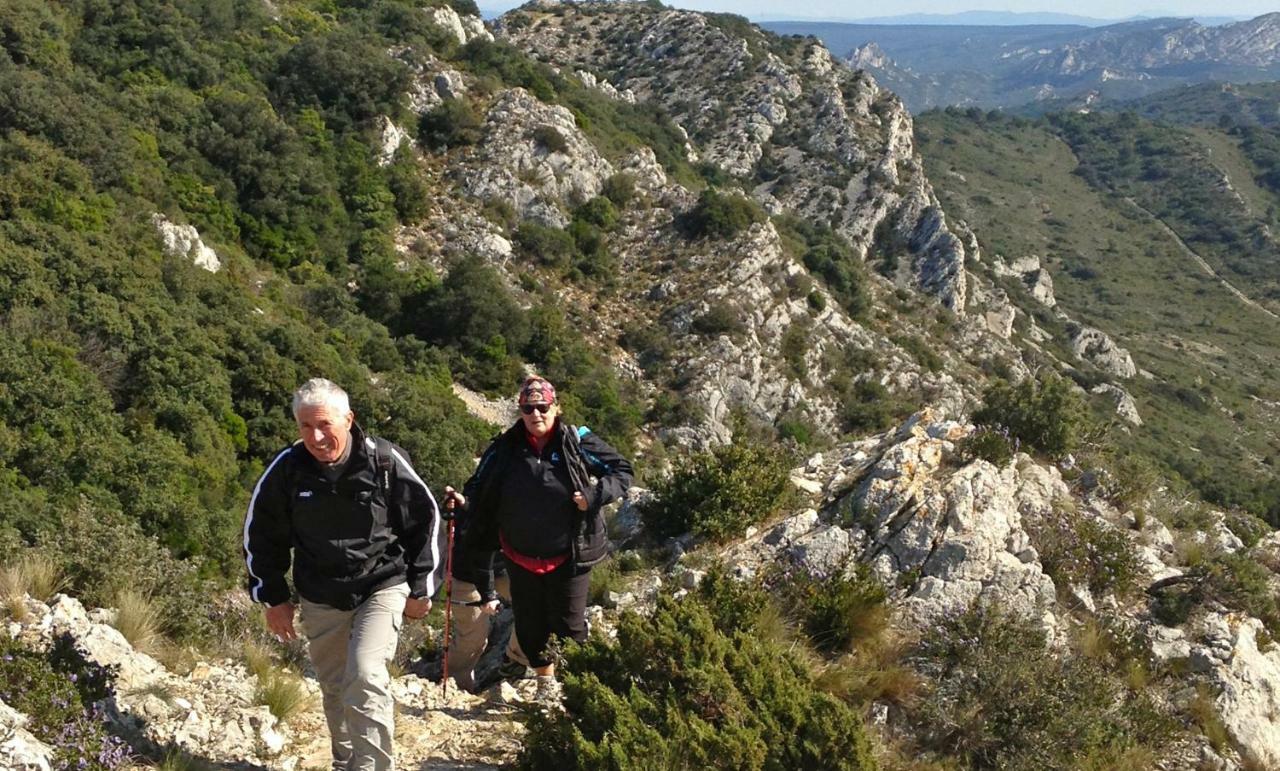 Les Lavandins-Gite Magali Saint-Rémy-de-Provence エクステリア 写真